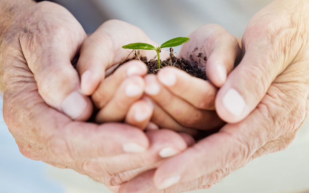 The Biggest Regrets People Have in Retirement, and Lessons for Future Generations