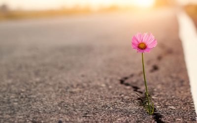 The Role of Optimism in Retirement Planning